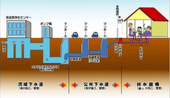 公共下水道のしくみを表したイラスト