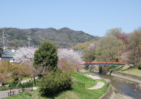 竜田川風景の写真