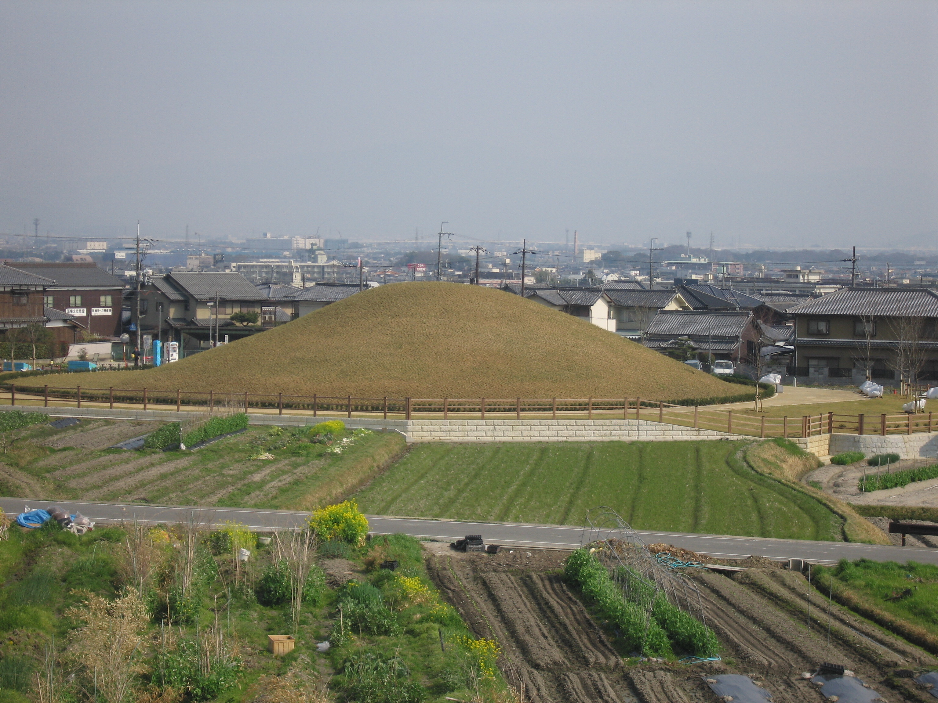 藤ノ木古墳全景（北側）
