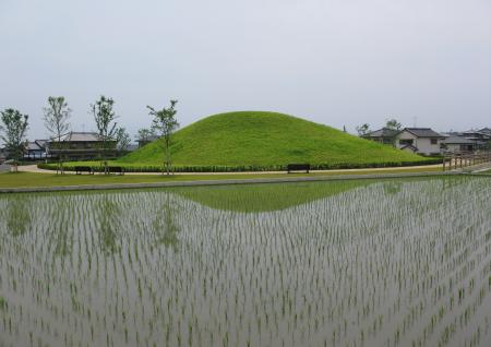 藤ノ木古墳夏風景写真