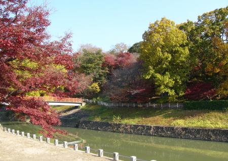 竜田公園写真